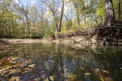 Undeveloped Land in Warren County, Missouri