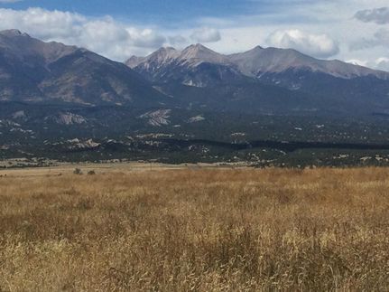 Undeveloped Land in Chaffee County, Colorado