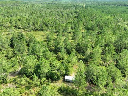 Undeveloped Land in Camden County, Georgia