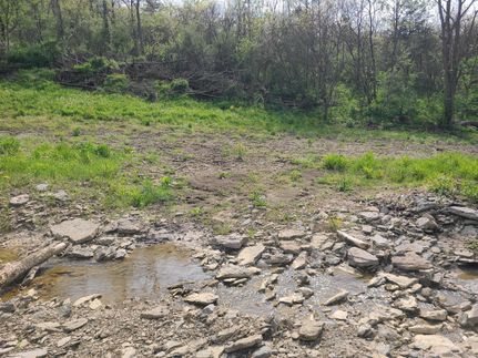 Timberland Property in Franklin County, Indiana