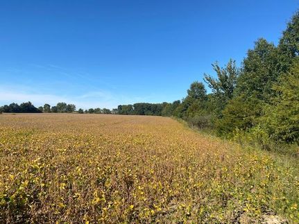 Land in Schuyler County, Illinois