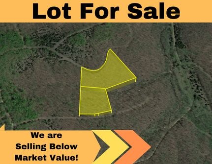 Timberland Property in Benton County, Missouri