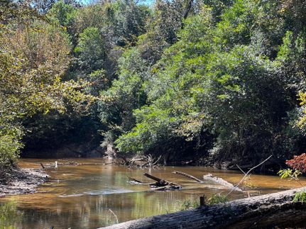 Timberland Property in Coffee County, Alabama