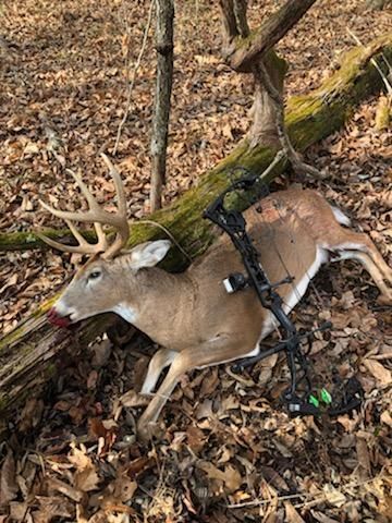 Undeveloped Land in Phelps County, Missouri