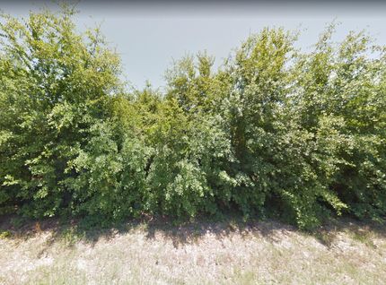 Horse Property in Aiken County, South Carolina