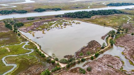 Undeveloped Land in Charleston County, South Carolina