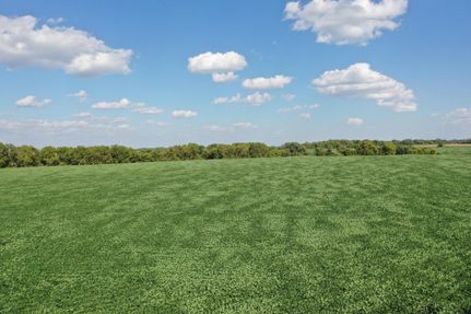 Undeveloped Land in Chippewa County, Minnesota
