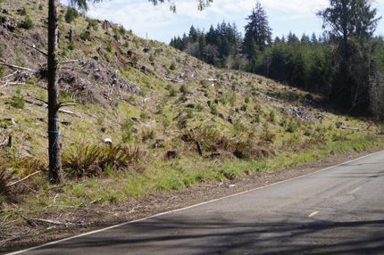 Land in Grays Harbor County, Washington
