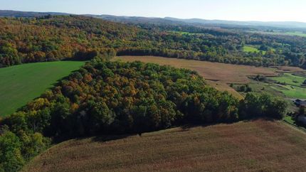 Undeveloped Land in Madison County, New York