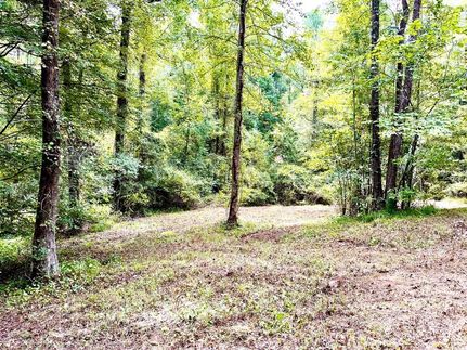 Timberland Property in Tuscaloosa County, Alabama