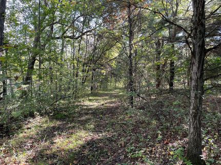 Recreational Property in Juneau County, Wisconsin