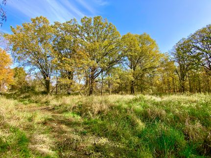 Timberland Property in Branch County, Michigan