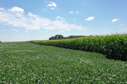 Undeveloped Land in Redwood County, Minnesota