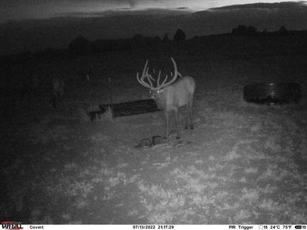 Waterfront Property in La Plata County, Colorado