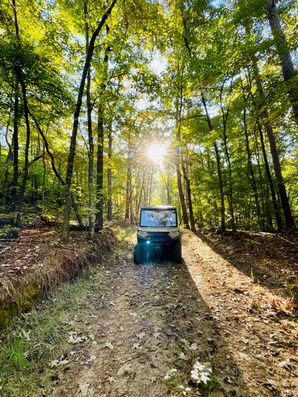 Timberland Property for sale in Gilmer County, Georgia