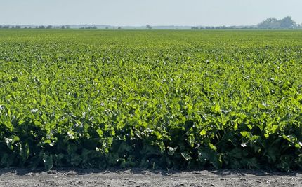 Land in Pembina County, North Dakota