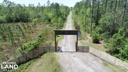 Undeveloped Land in Brantley County, Georgia
