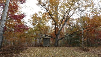 Recreational Property in Arenac County, Michigan