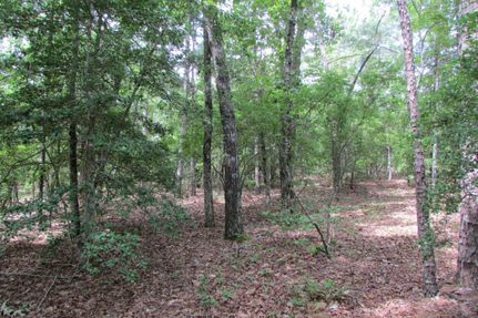 Farm and Ranch in Chesterfield County, South Carolina