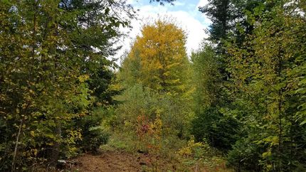 Land in Penobscot County, Maine