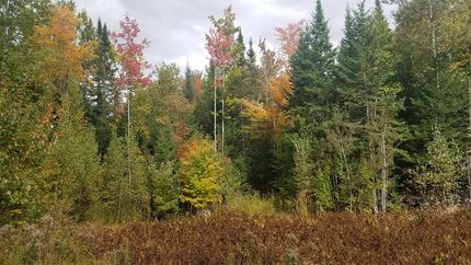 Recreational Property in Penobscot County, Maine