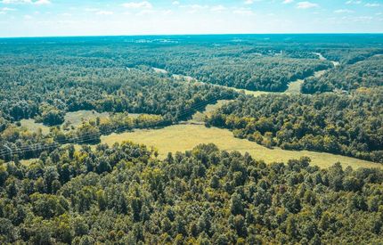 Timberland Property in Dent County, Missouri