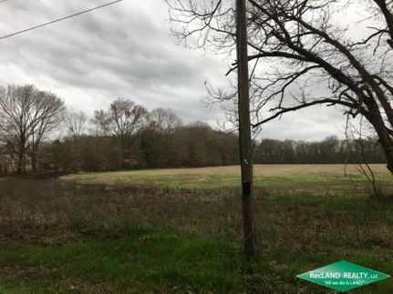Undeveloped Land in Ouachita Parish, Louisiana