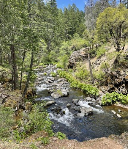 Undeveloped Land in Siskiyou County, California