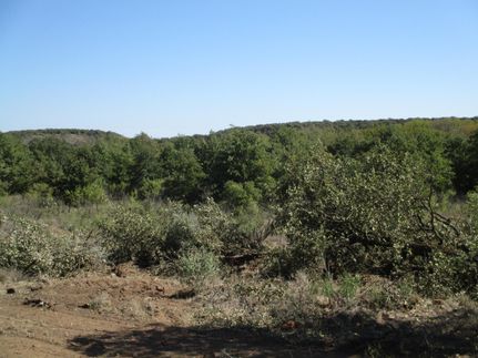 Recreational Property in Young County, Texas