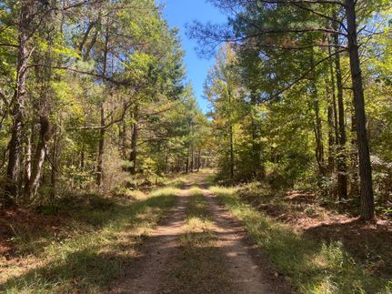 Farm and Ranch in Webster County, Mississippi