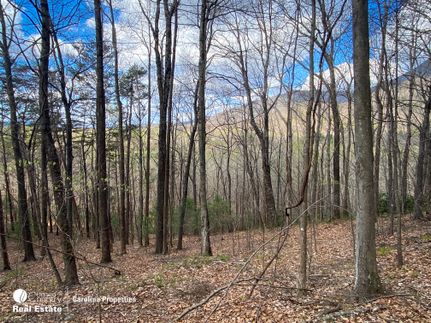 Farm and Ranch in Surry County, North Carolina