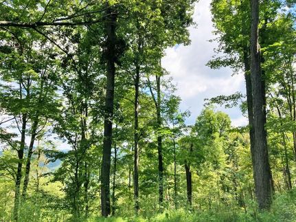 Farm and Ranch in Tyler County, West Virginia