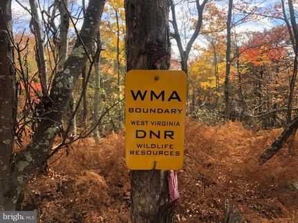 Timberland Property in Hardy County, West Virginia