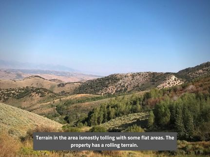 Timberland Property in Elko County, Nevada