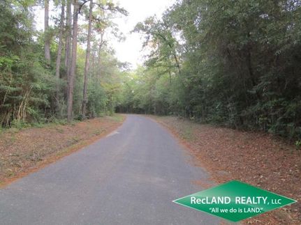 Undeveloped Land in Jasper County, Texas