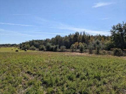 Farm and Ranch in Suwannee County, Florida