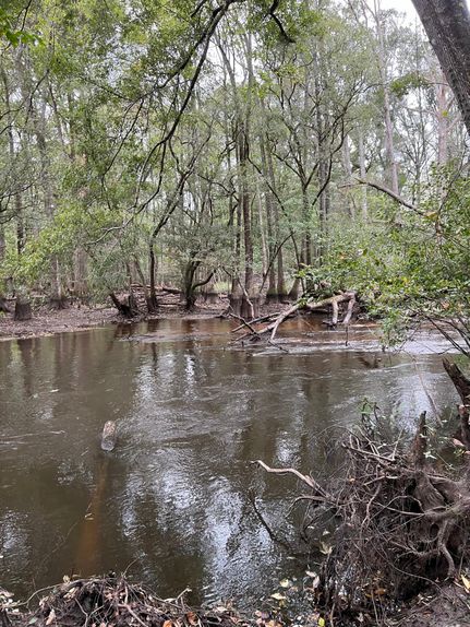 Recreational Property in Bamberg County, South Carolina