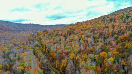 Farm and Ranch in Greenbrier County, West Virginia