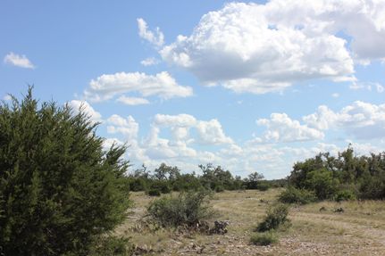 Undeveloped Land for sale in Kimble County, Texas