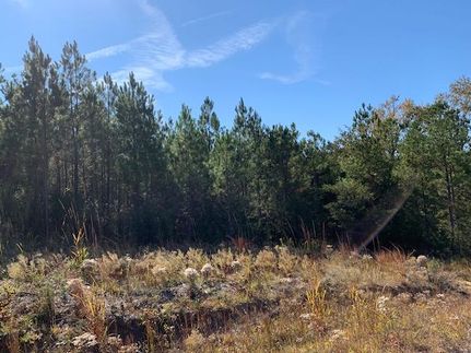 Timberland Property in Fairfield County, South Carolina