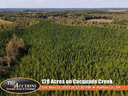 Hunting Property in Halifax County, Virginia