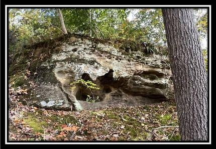 Undeveloped Land in Gallia County, Ohio