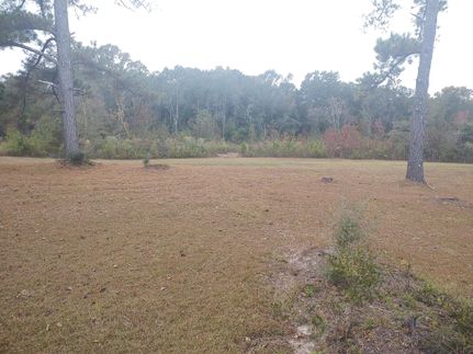 Timberland Property in Dale County, Alabama
