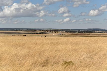 Undeveloped Land in Apache County, Arizona