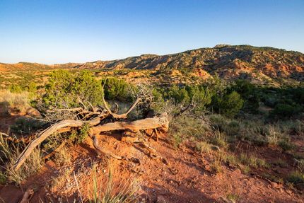 Undeveloped Land in Armstrong County, Texas