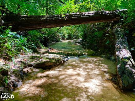 Recreational Property in Dale County, Alabama