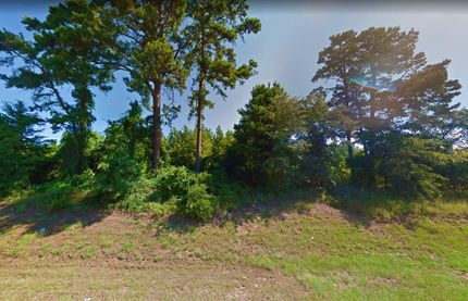 Undeveloped Land in Marion County, Texas