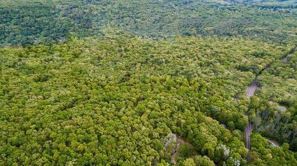 Undeveloped Land in Wayne County, Pennsylvania