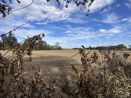 Land in White County, Arkansas
