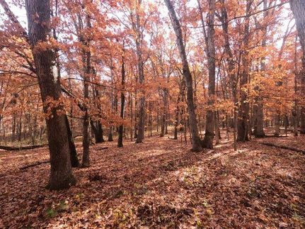 Land in Boone County, Missouri